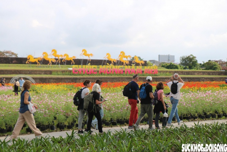 Choáng ngợp hình ảnh hàng vạn chậu hoa kết thành đóa sen khổng lồ ở Huế - 11