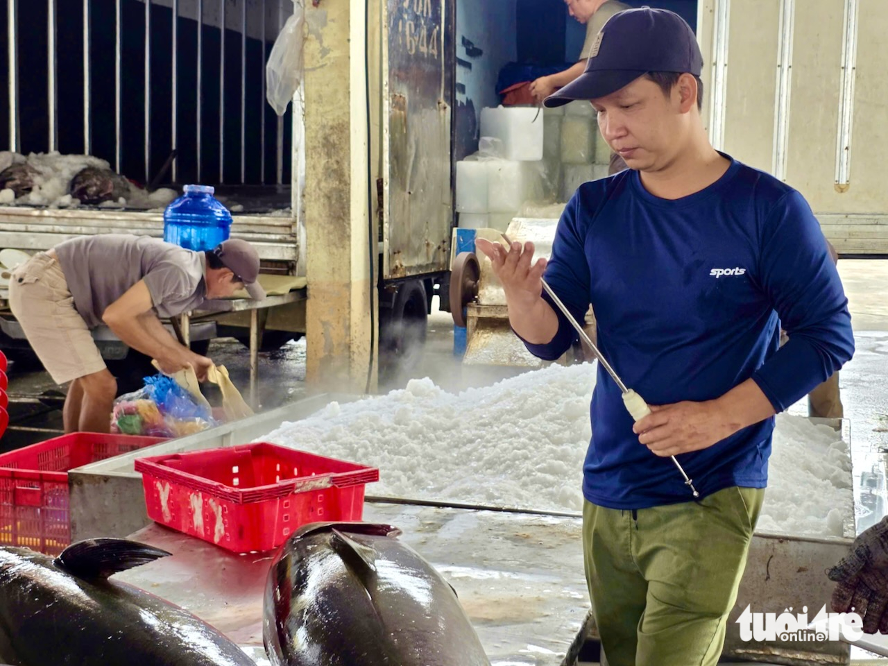 cá ngừ - Ảnh 7.