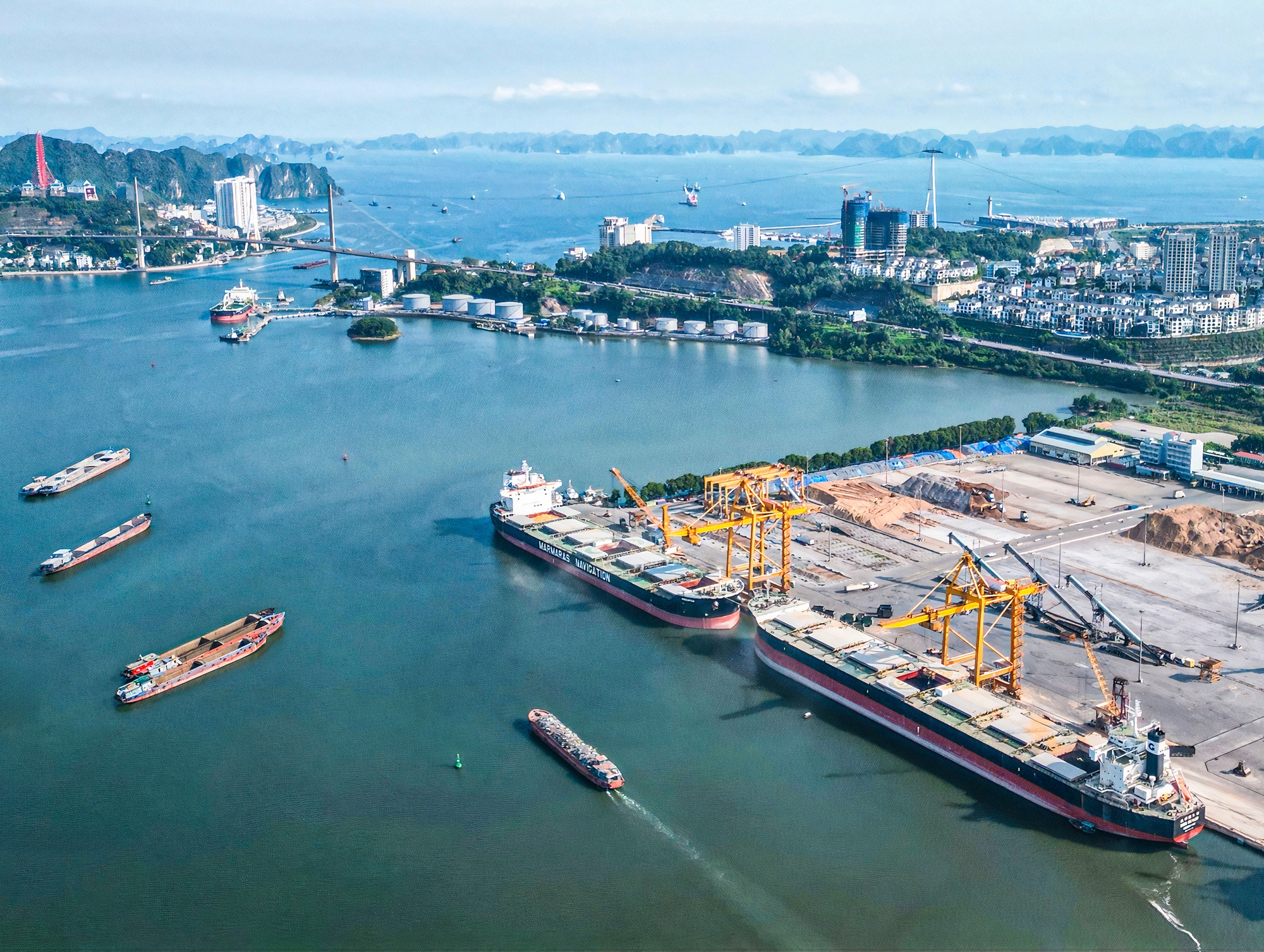 Hạng mục Vươn Mình Ra Biển Lớn: Dấu ấn của khối ngân hàng và sự góp mặt ấn tượng từ nhiều lĩnh vực- Ảnh 4.