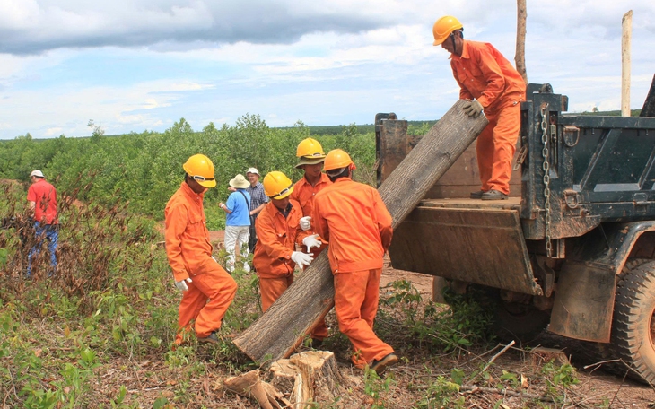 Ông lớn bán lẻ rót vốn xây ‘màn chắn xanh’ cho Việt Nam  - Ảnh 4.