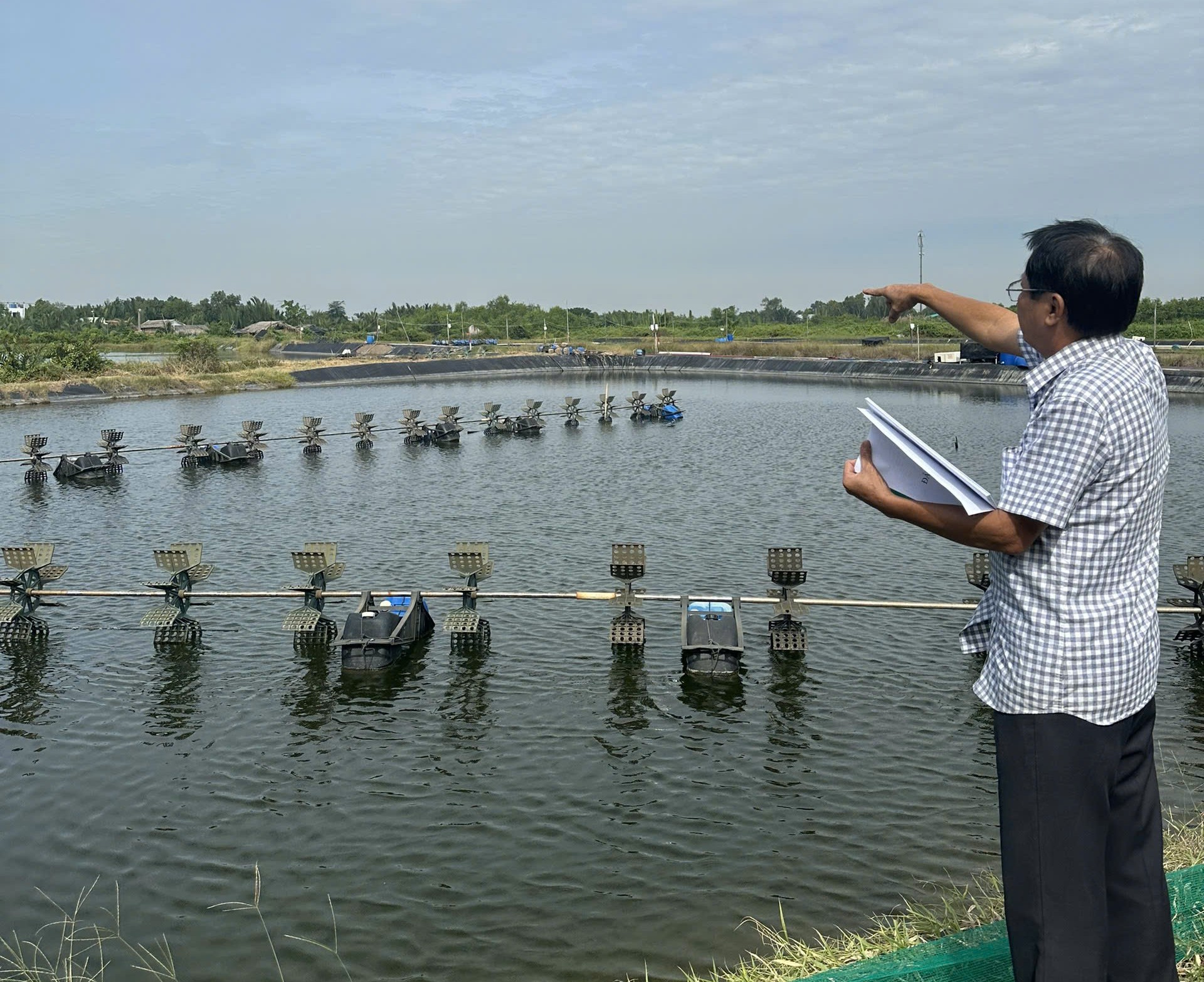 thẩm phán - Ảnh 1.