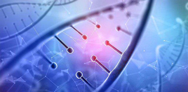 3 nguyên tắc ngăn ngừa tế bào ung thư, người Việt cần biết và thực hiện càng sớm càng tốt 1 Ảnh minh họa