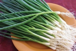 Hành lá – gia vị, vị thuốc quý của mùa đông