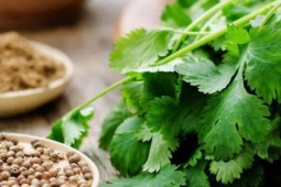 5 loại thực phẩm giúp thận lọc độc tố hiệu quả