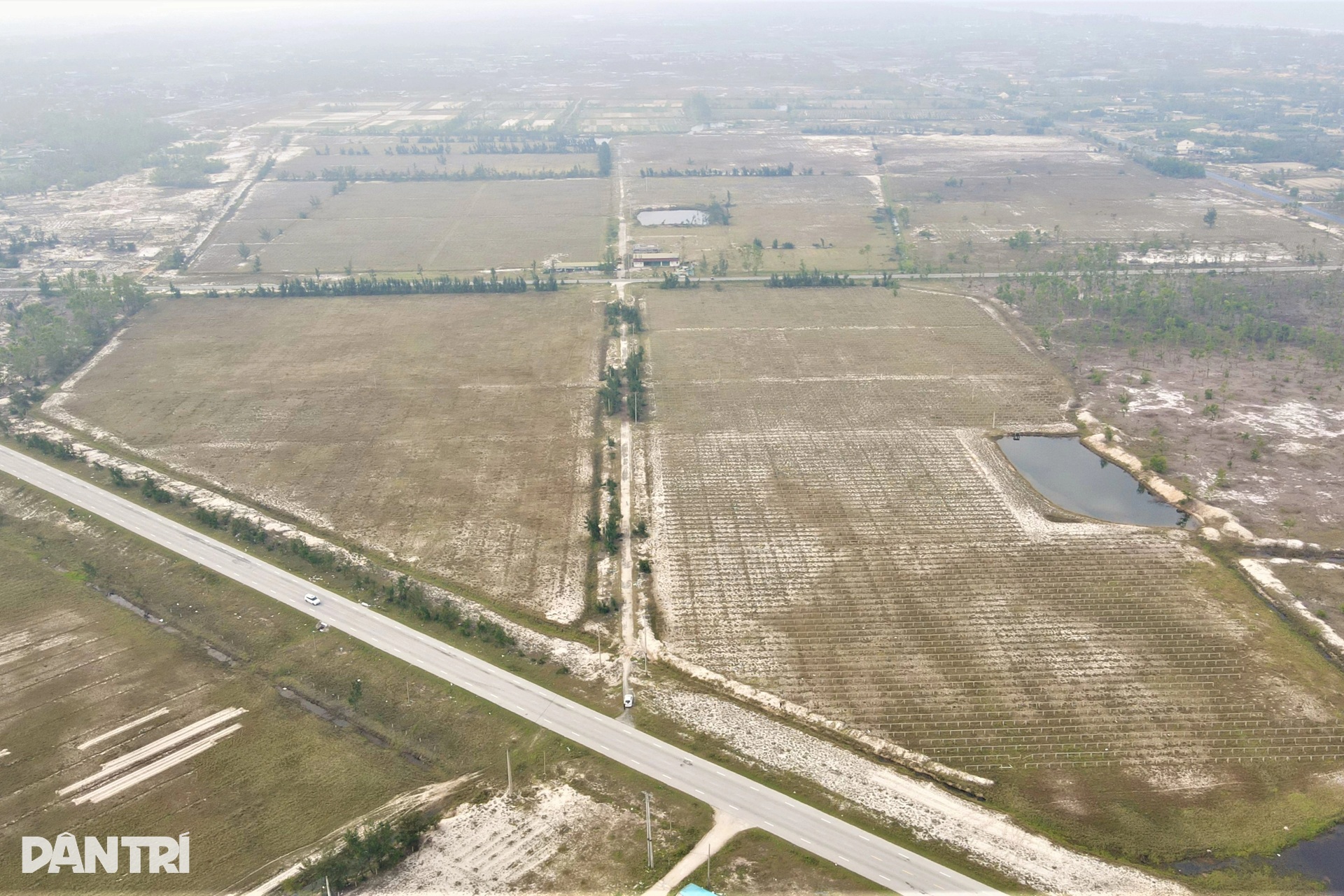 Bãi cọc bê tông ở dự án nông nghiệp công nghệ cao 300 tỷ đồng của FLC - 1