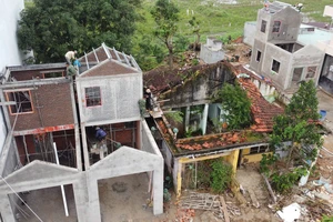 'Chiến dịch Quang Trung': Mầm xanh nảy nở nơi tâm lũ