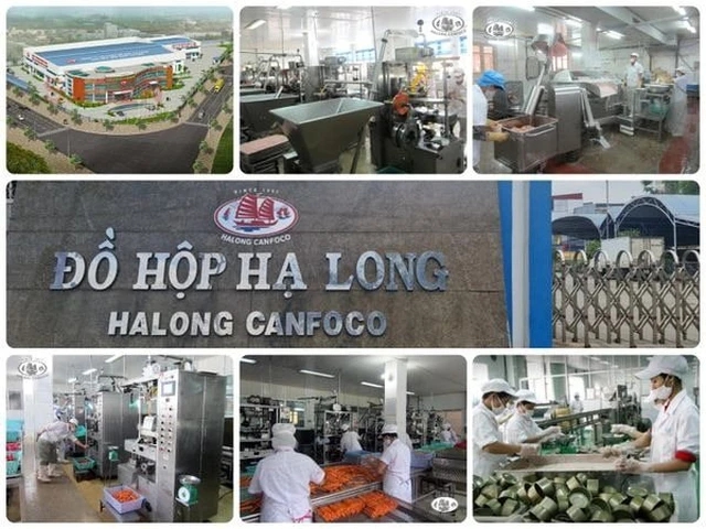 Bắt Tổng Giám đốc Công ty CP đồ hộp Hạ Long vì thịt heo nhiễm dịch tả - Ảnh 1. Bắt Tổng Giám đốc Công ty CP đồ hộp Hạ Long vì thịt heo nhiễm dịch tả - Ảnh 1.