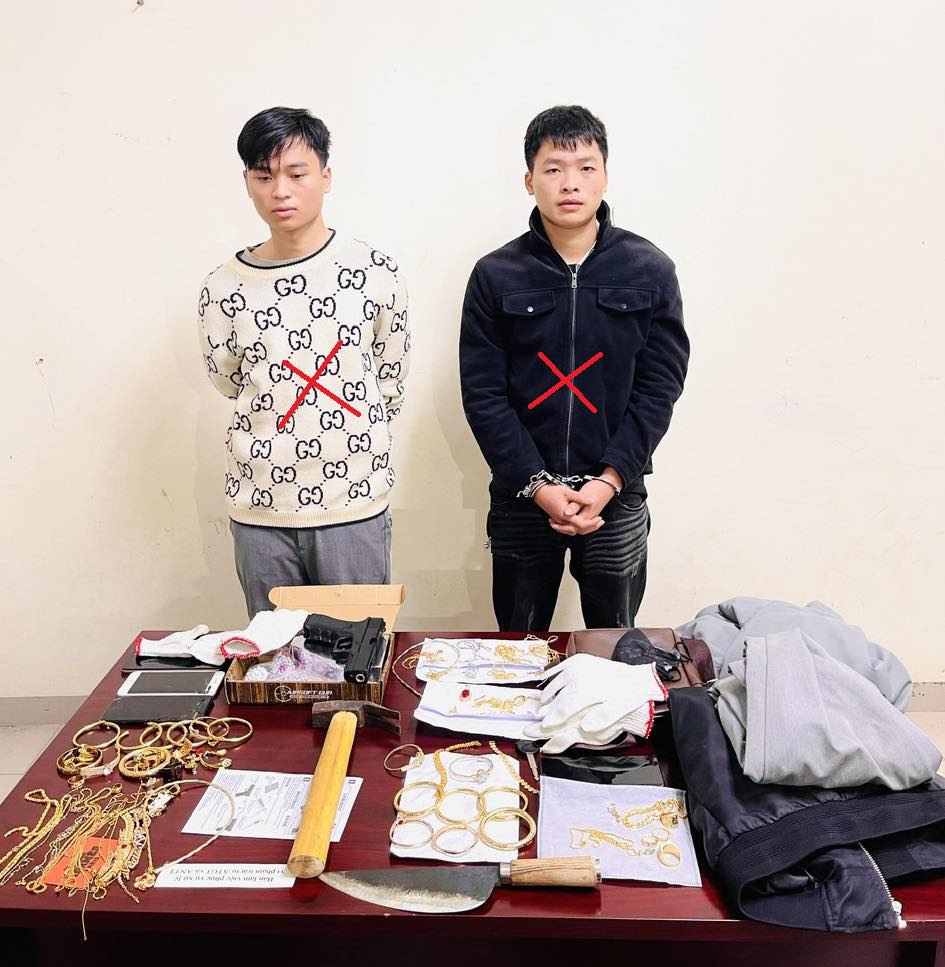 Đã bắt 2 đối tượng cướp vàng trong đêm ở Ninh Bình: Bất ngờ mối quan hệ- Ảnh 1.