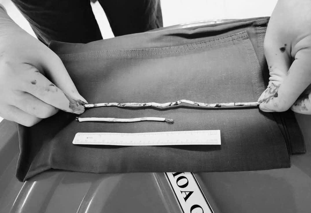 cấp cứu - Ảnh 1.