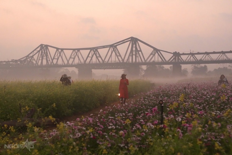 Bến hoa Phúc Xá hồi sinh, thành điểm 'săn' bình minh hot - 5