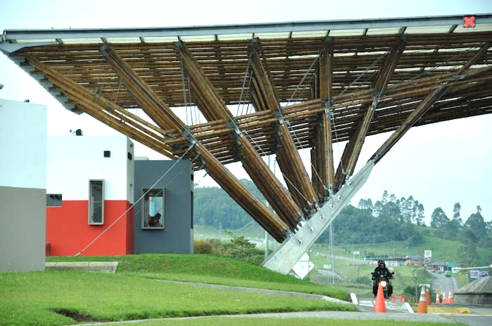 Lần đầu tiên trên thế giới: 