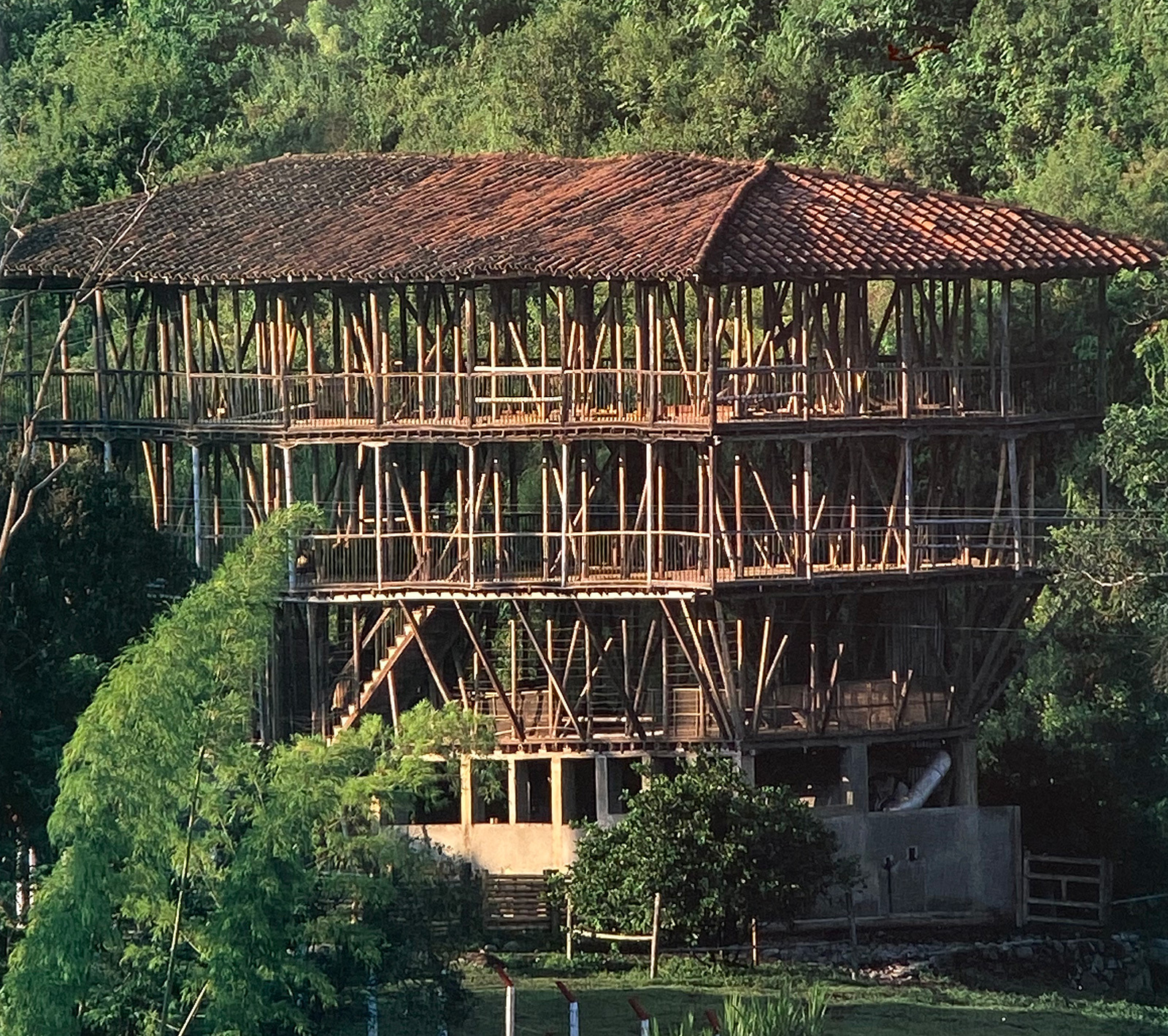 Lần đầu tiên trên thế giới: 