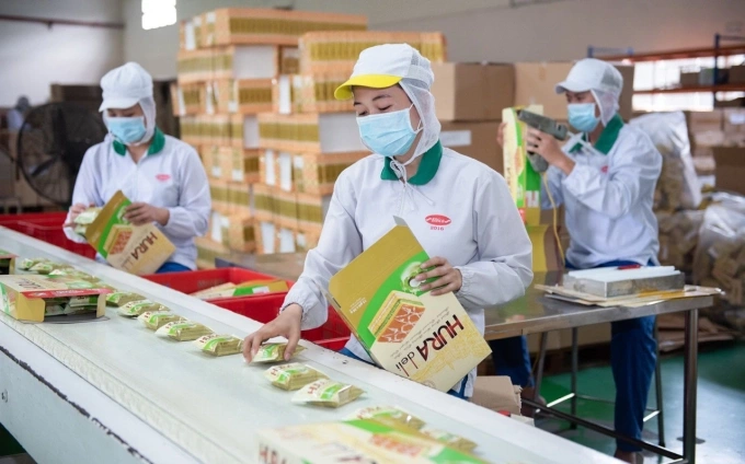 Công nhân đang làm việc trong một nhà máy của Bibica. Ảnh: BBC