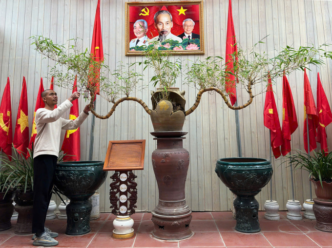 Tác phẩm tre bonsai Lưỡng long chầu nhật từ được trưng bày ở tiệc trà Tổng Bí thư Nguyễn Phú Trọng tiếp Chủ tịch nước Trung Quốc Tập Cận Bình, được Sỹ Luân giữ trong vườn nhà ở Bắc Ninh. Ảnh: Sỹ Luân