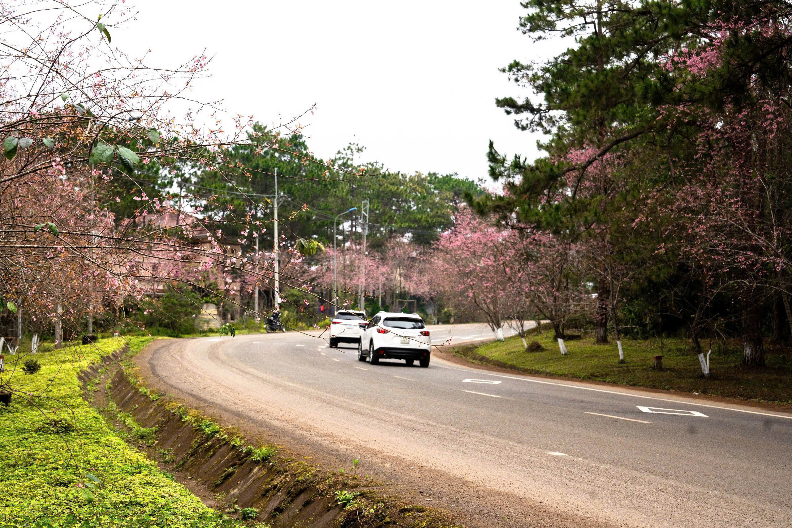 Bộ Xây dựng ra thời hạn khởi công cao tốc Quảng Ngãi - Kon Tum- Ảnh 1.