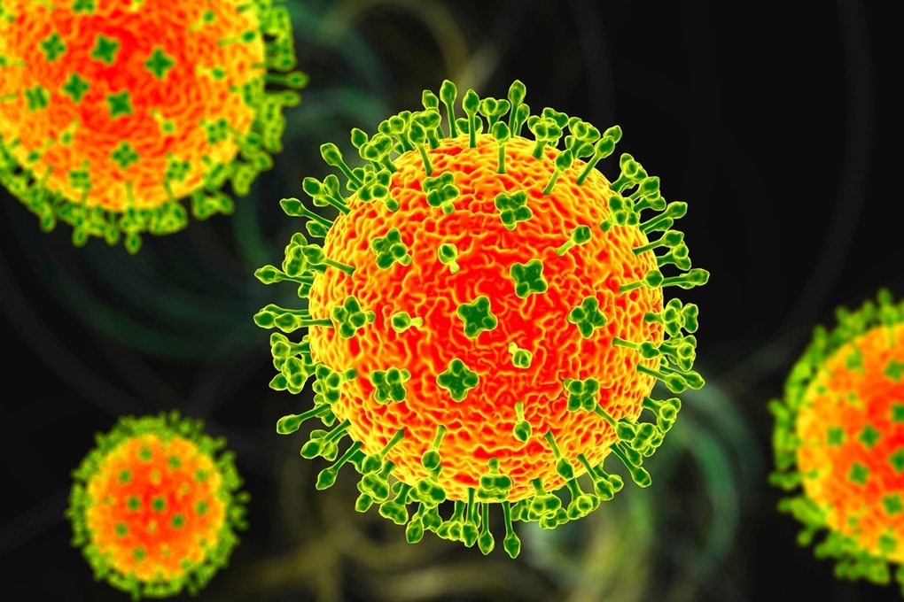 Bộ Y tế cảnh báo virus Nipah: Không ăn trái cây bị dơi, chim cắn - 1