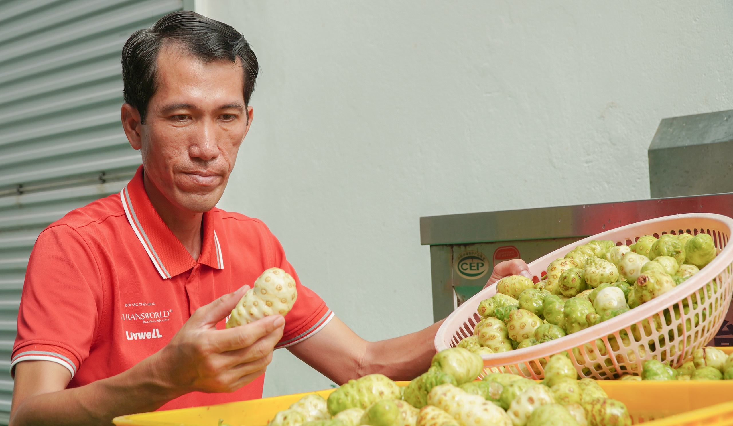 BỎ PHỐ VỀ QUÊ - Ảnh 1.