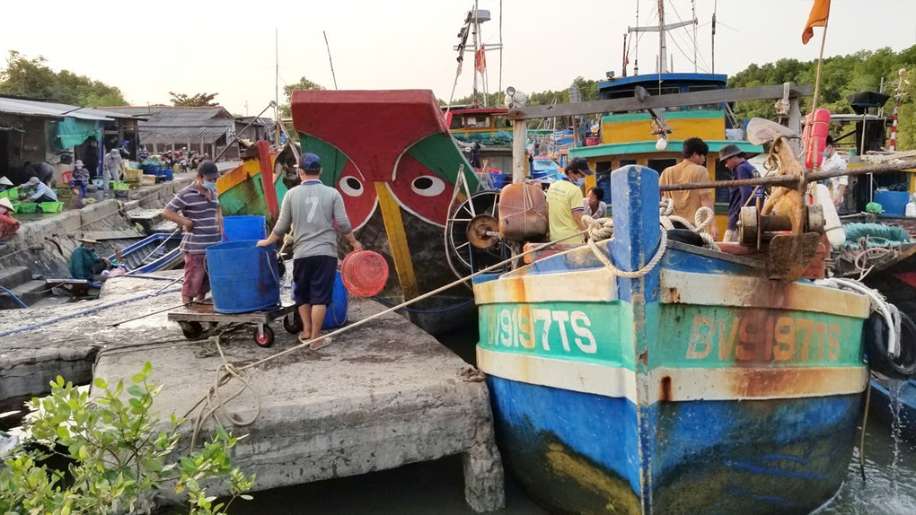 Bột cá Việt tiến gần nhãn xanh quốc tế nhờ mô hình hợp tác công tư - 2