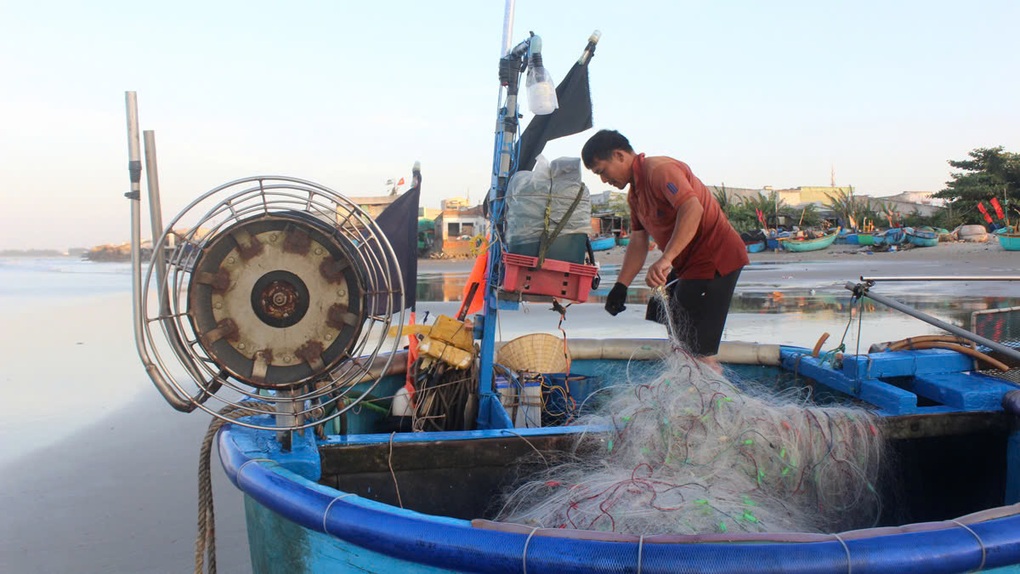 Bột cá Việt tiến gần nhãn xanh quốc tế nhờ mô hình hợp tác công tư - 1