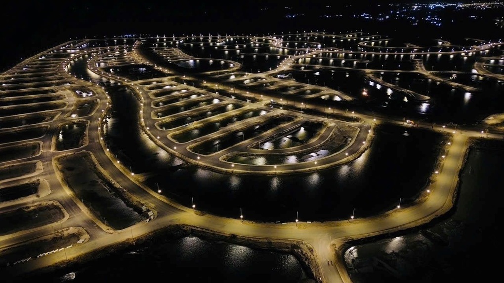 Bức tranh Vinhomes Green Paradise trong tương lai - 1