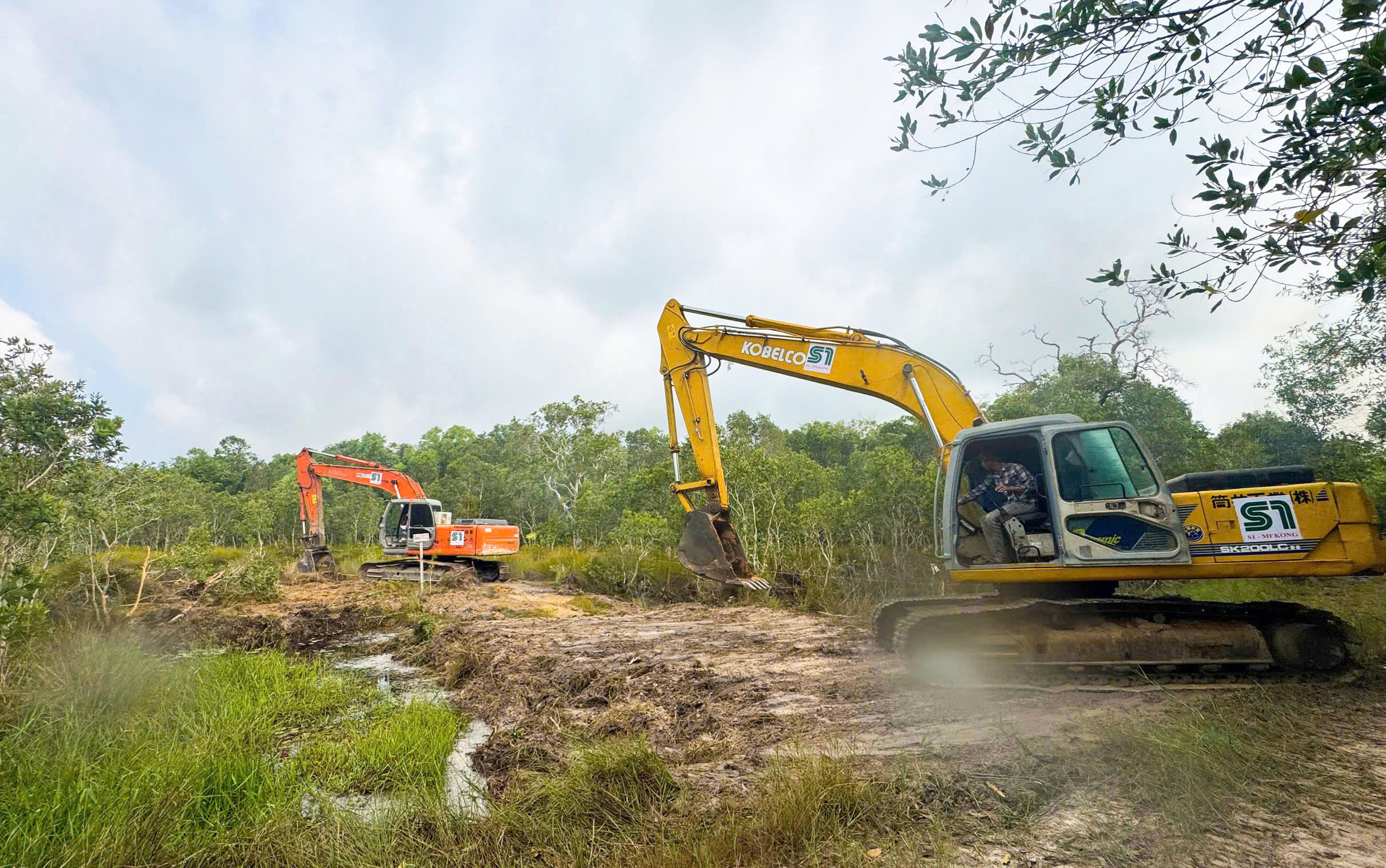 Việt Nam - Ảnh 4.