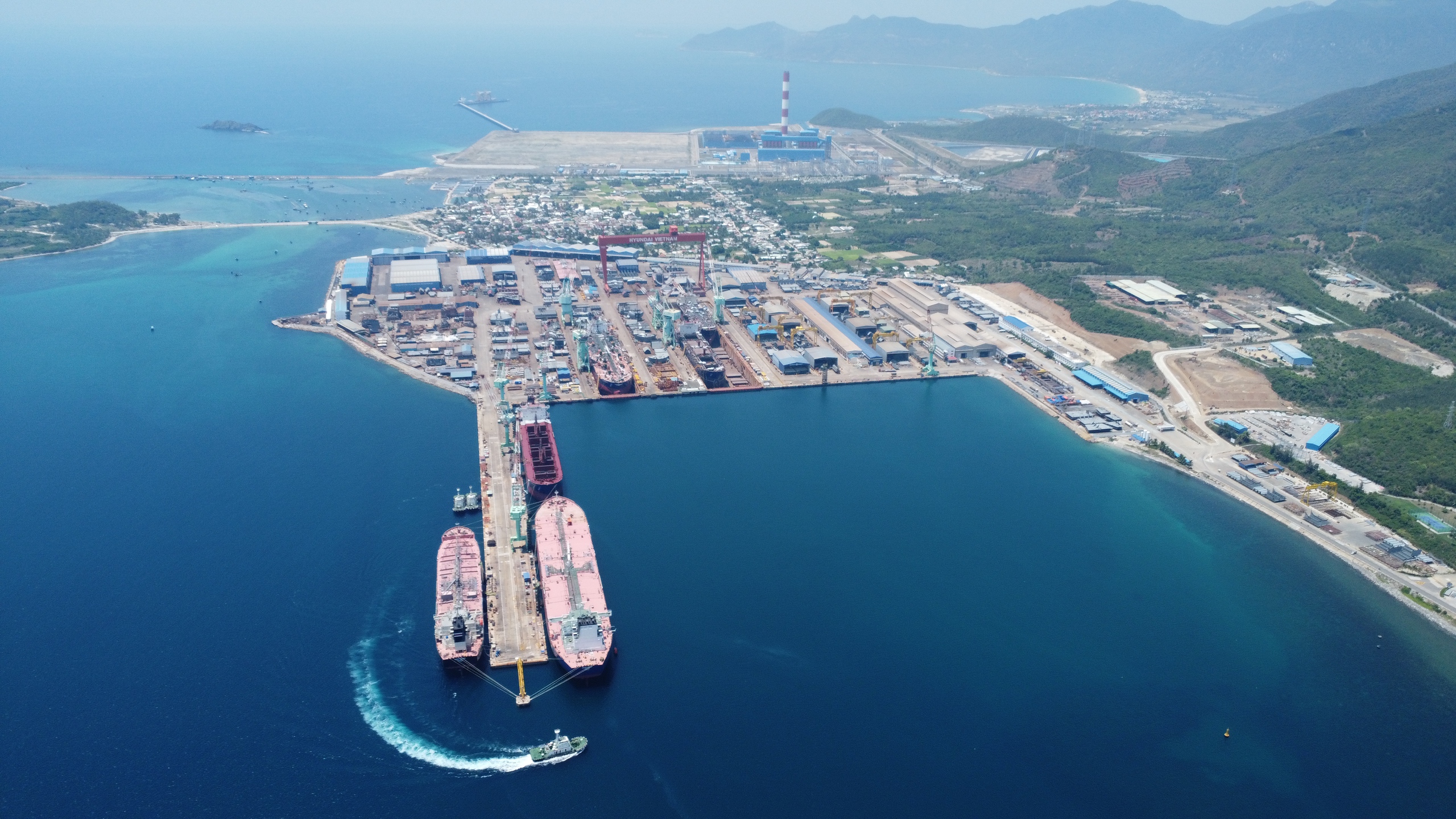 thể chế - Ảnh 1.