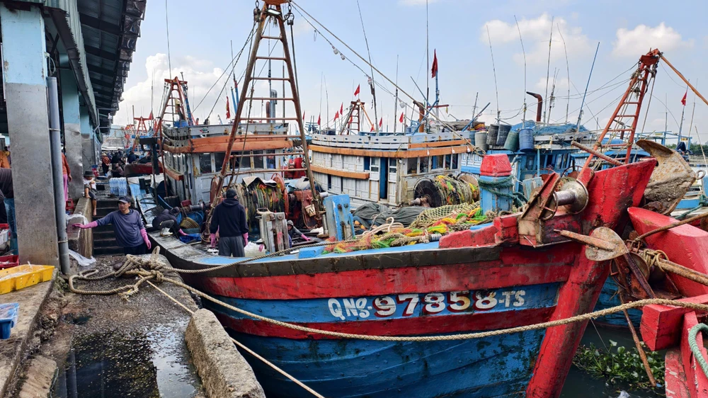 can-tet-ca-ve-don-dap-ngu-dan-quang-ngai-trung-mua-duoc-gia- (9).jpg