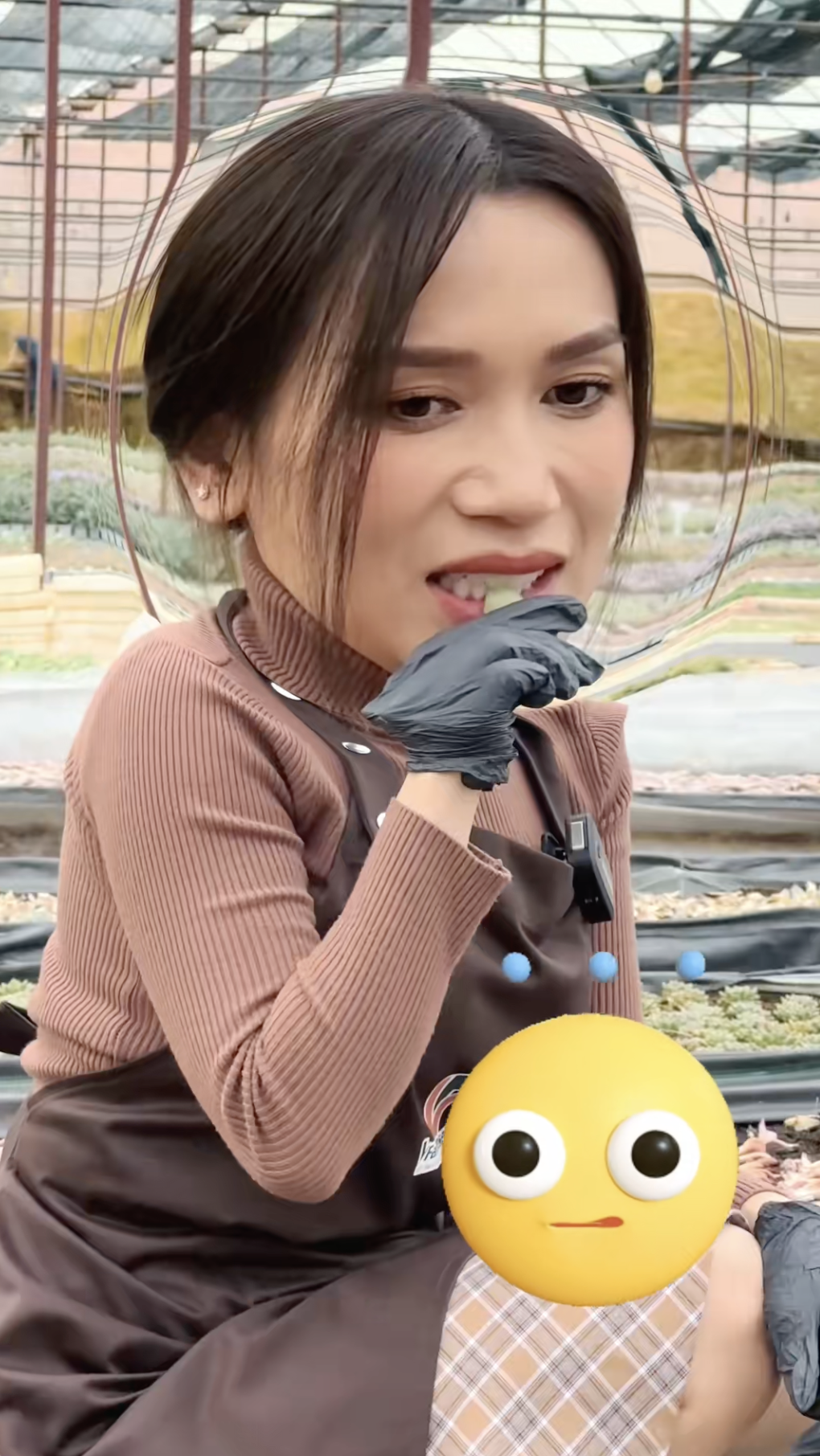 Cảnh báo trào lưu ăn sống sen đá chấm muối ớt, cẩn thận rước họa vào thân- Ảnh 2.