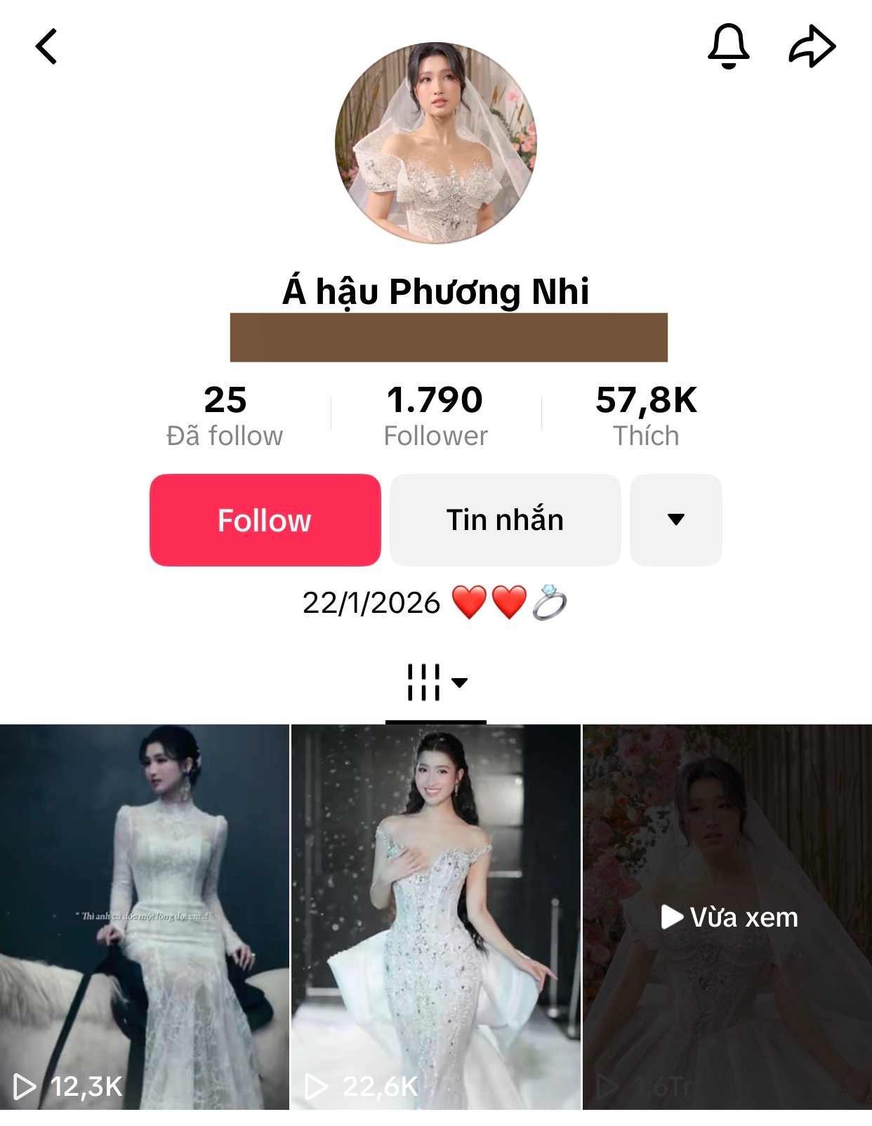 Cảnh báo về Á hậu Phương Nhi- Ảnh 1.