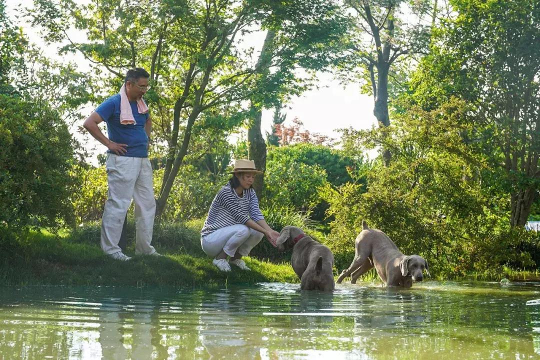 Rời trung tâm thành phố, sống nhà vườn ở ngoại ô: Câu chuyện của 3 gia đình và bài toán tiết kiệm tiền khiến nhiều người giật mình- Ảnh 1.