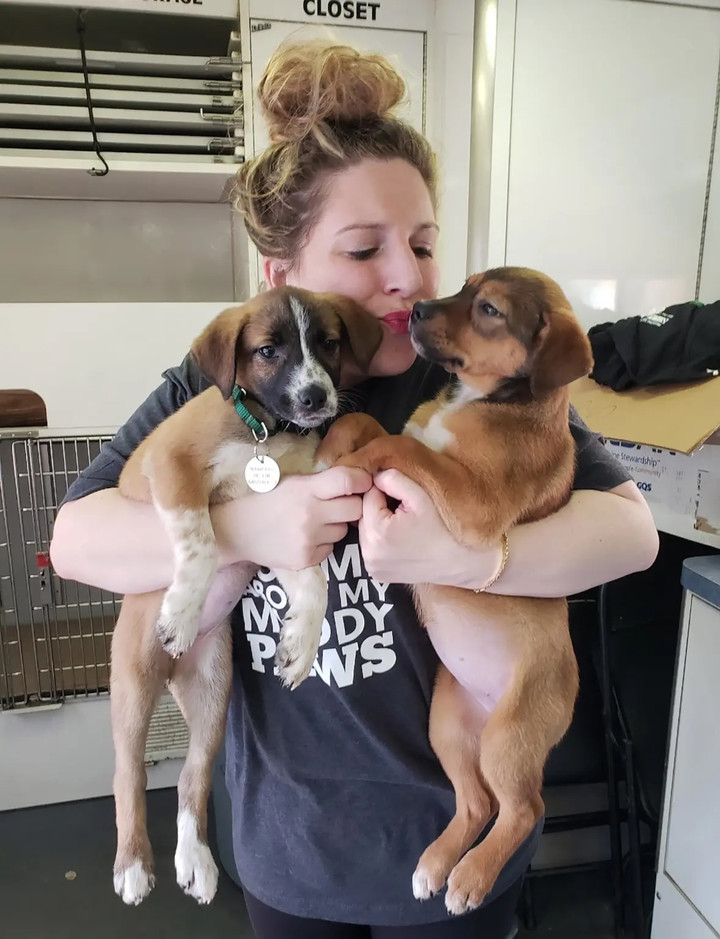 Chán ngấy hẹn hò online, nhiều phụ nữ 'thà dắt chó đi dạo còn hơn yêu đương'- Ảnh 1.