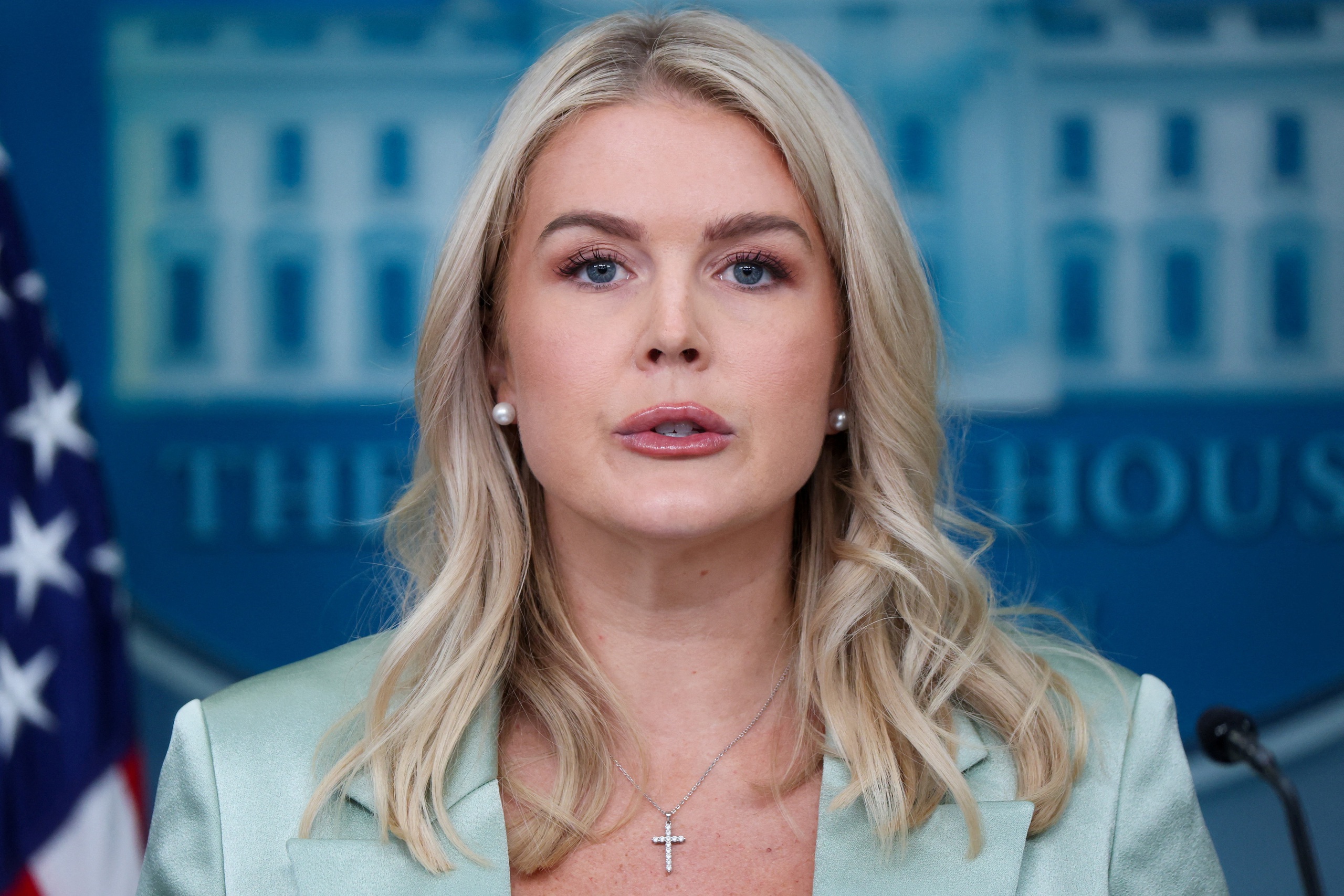 sáp nhập Greenland - Ảnh 1.