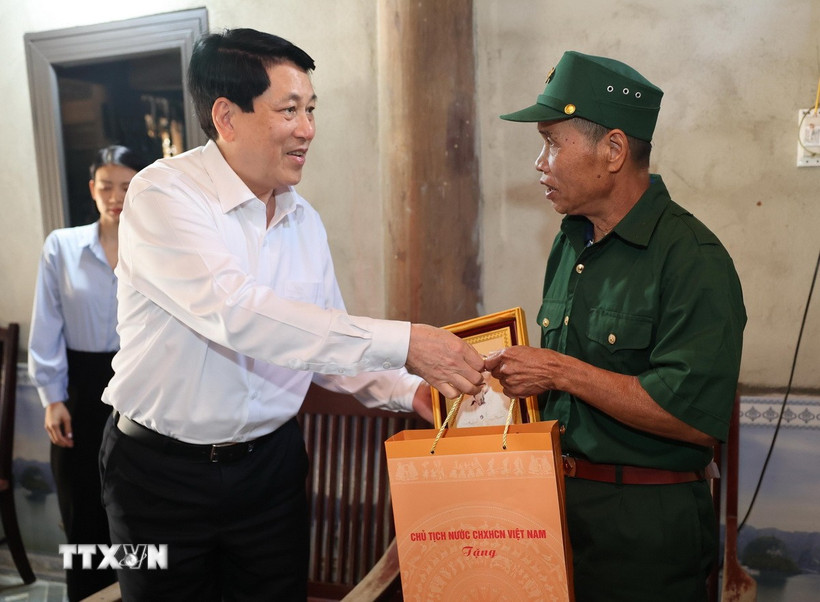 chủ tịch nước - Ảnh 1.