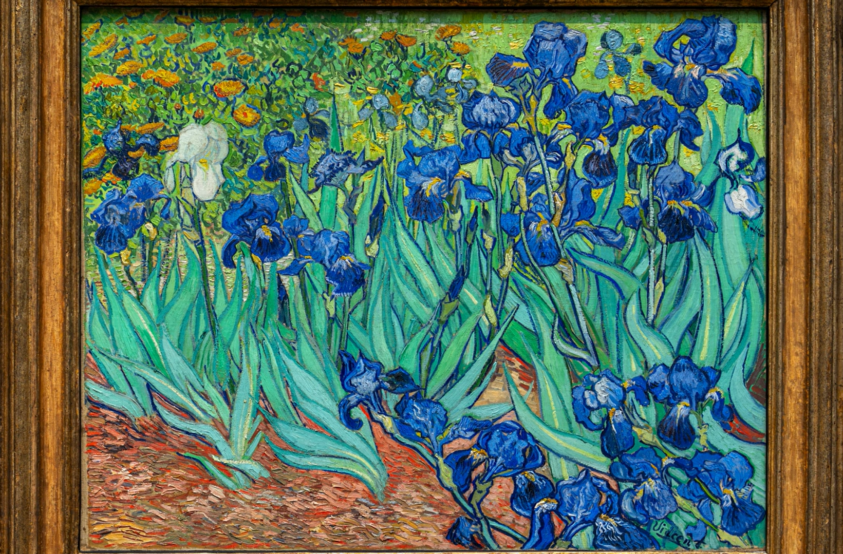 Chúng ta bấy lâu nay đang xem tranh 