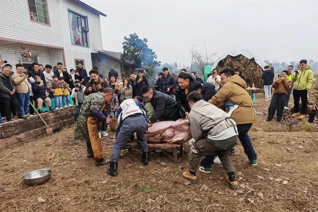 Cô gái đăng tin tìm người mổ lợn, cả làng đón 10.000 khách lạ tới giúp - 1