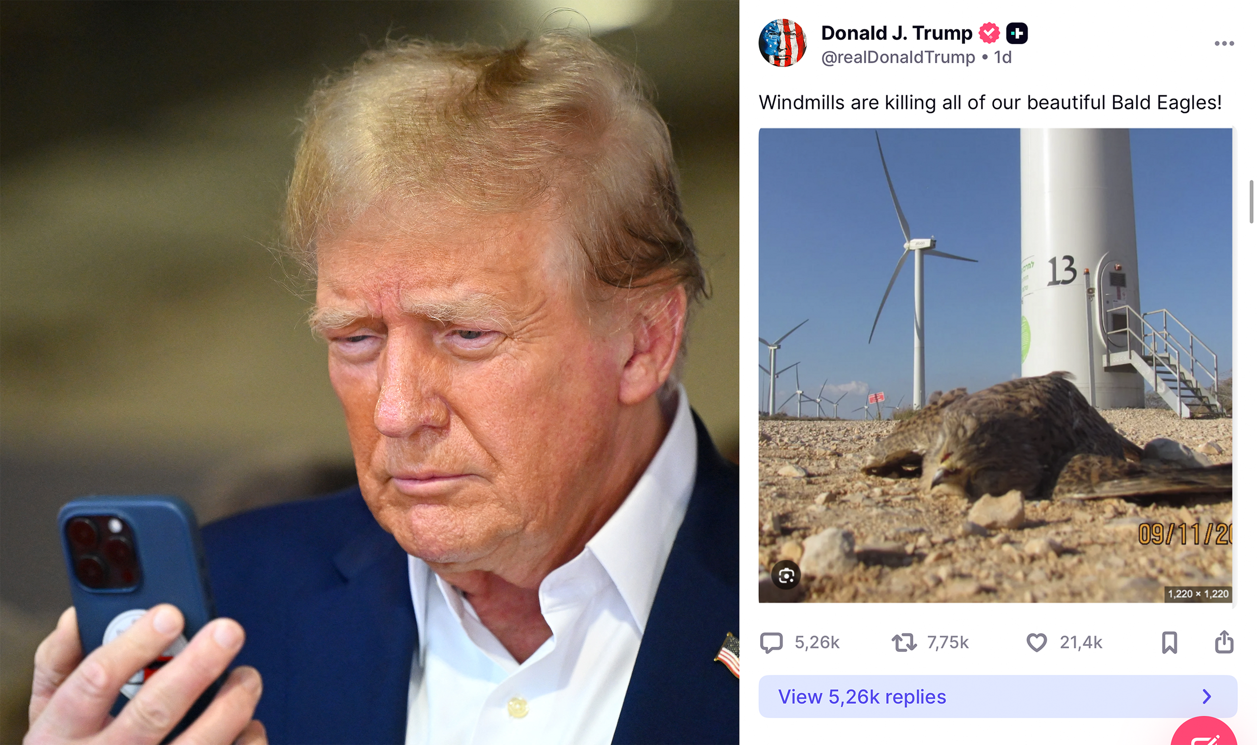 Tổng thống Trump cáo buộc turbine gió giết chết tất cả đại bàng đầu trọc biểu tượng của Mỹ? - Ảnh 1. Có thật các tua bin điện gió giết chết tất cả đại bàng đầu trọc biểu tượng của Mỹ? - Ảnh 1.