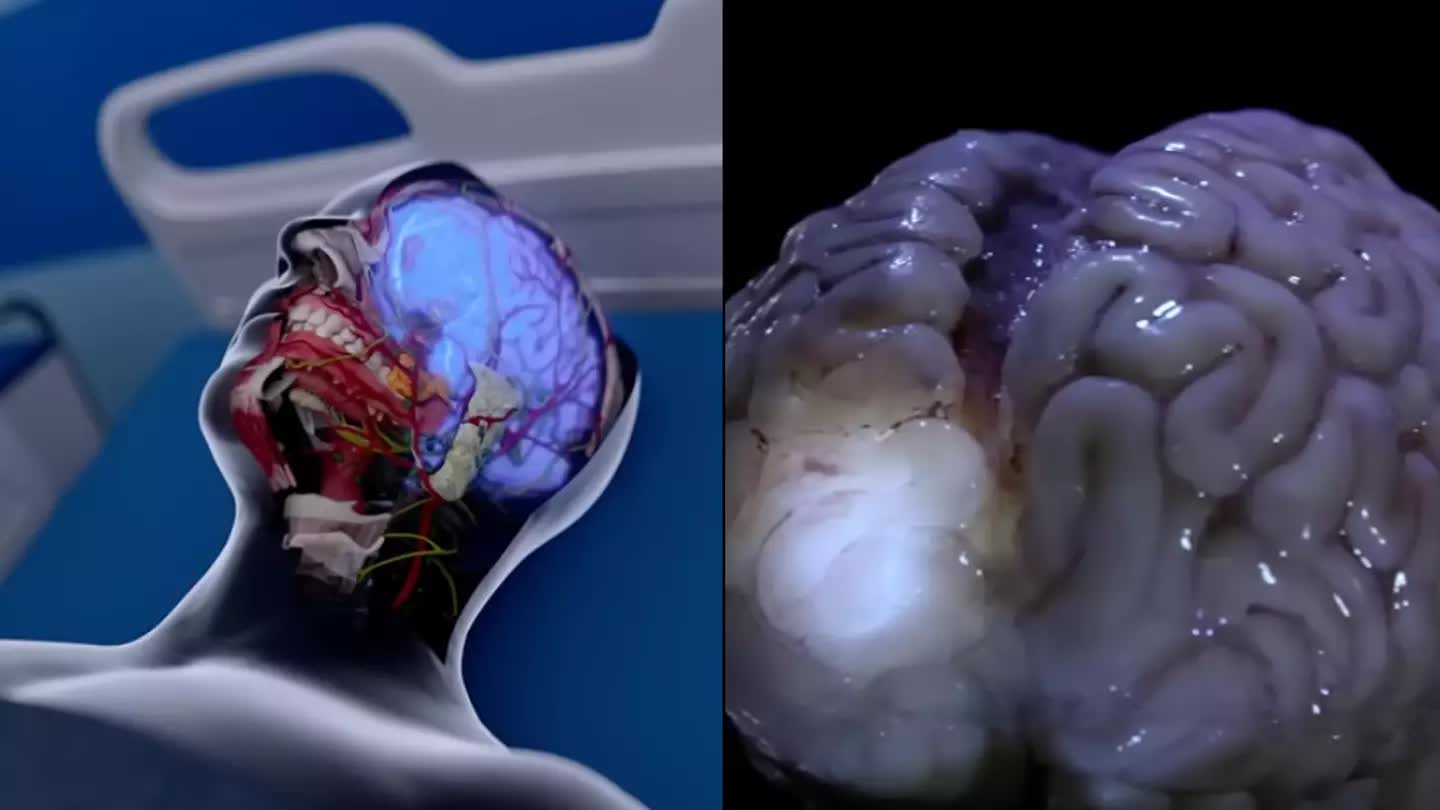 Các nhà khoa học đặt lại câu hỏi về ranh giới sinh tử: Con người trải qua điều gì trong sáu phút sau khi chết lâm sàng?- Ảnh 1. Các nhà khoa học đặt lại câu hỏi về ranh giới sinh tử: Con người trải qua điều gì trong sáu phút sau khi chết lâm sàng?- Ảnh 1.