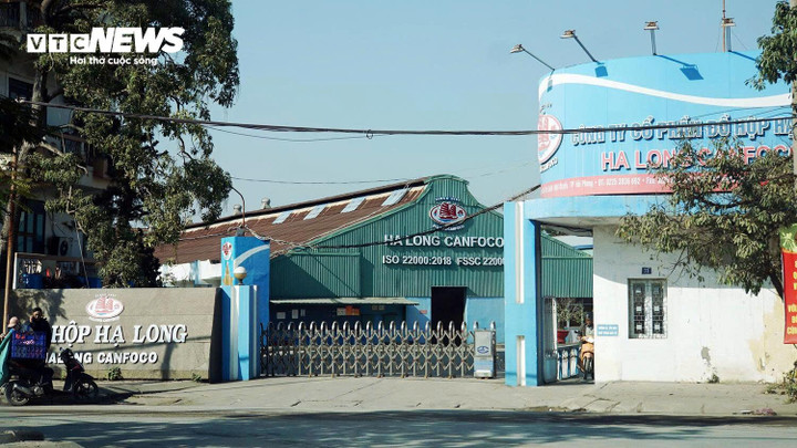 Công ty đồ hộp Hạ Long hoạt động thế nào, ai đang quản lý?- Ảnh 1.