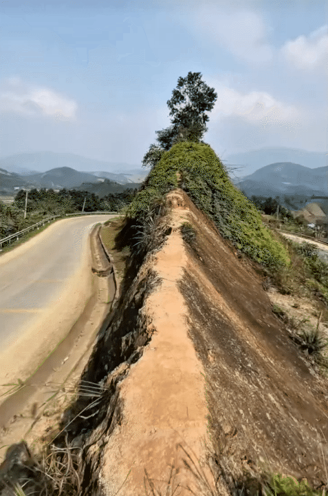 Sốc nhất MXH hôm nay: Cụ ông đi 1000km để gặp bạn gái quen trên mạng, quyết đón về làm vợ chỉ sau 2 ngày 