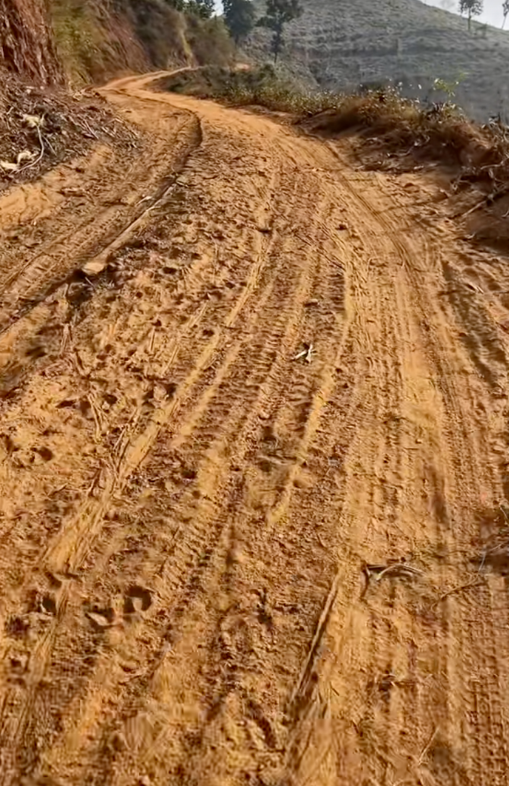 Sốc nhất MXH hôm nay: Cụ ông đi 1000km để gặp bạn gái quen trên mạng, quyết đón về làm vợ chỉ sau 2 ngày 