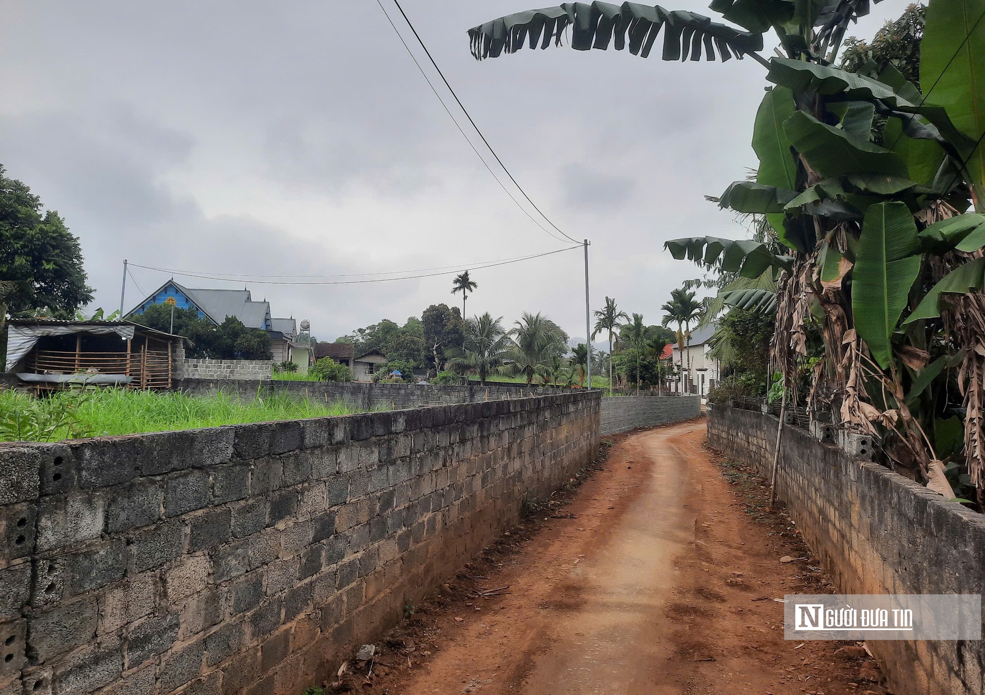 Tin nhắn “tạm biệt” và ly trà sữa chứa thuốc chuột: Cú sốc với gia đình, hàng xóm- Ảnh 1.