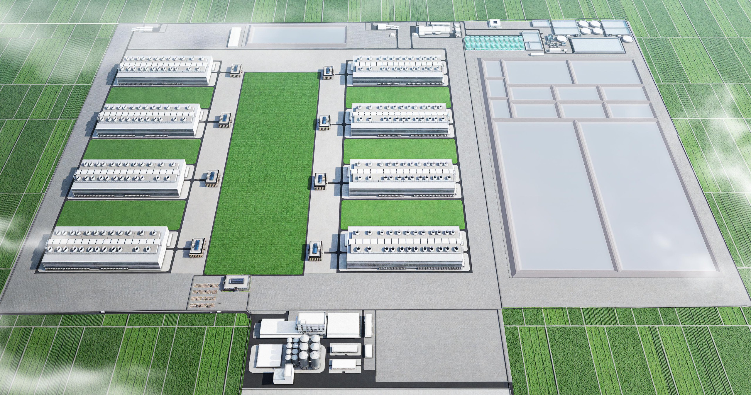 Cùng nông nghiệp Việt Nam ‘Vươn mình tiến vào kỷ nguyên xanh’ - Ảnh 1.