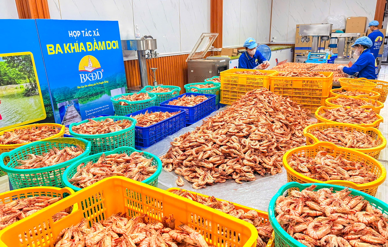 Đặc sản OCOP lên ngôi dịp Tết - Ảnh 1. OCOP - Ảnh 1.