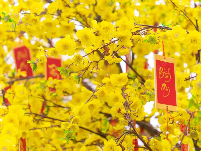 Dac san Tet cua nguoi mien Tay ca nuoc to