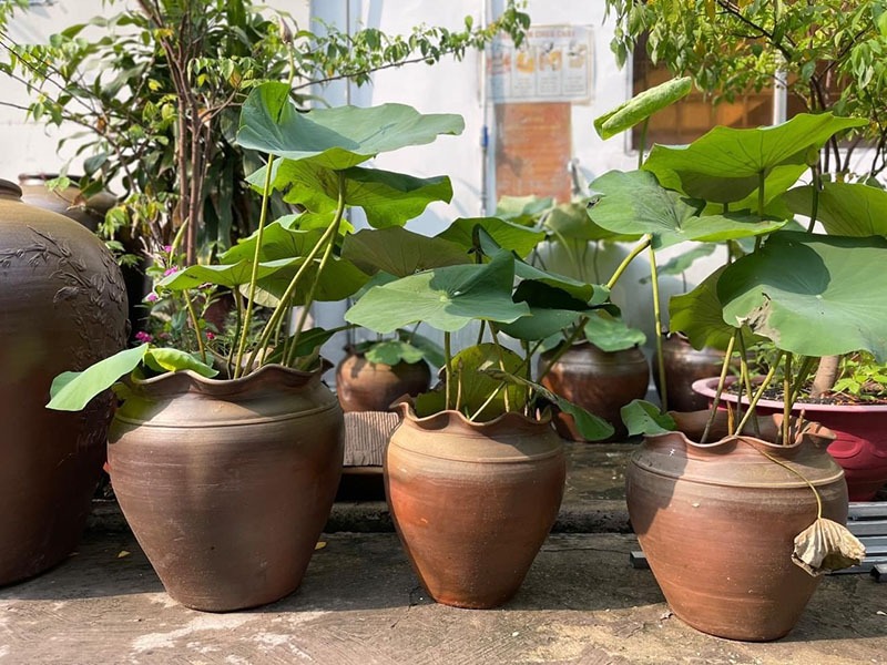 Dac san trong nha nguoi mien Tay ca nuoc muon