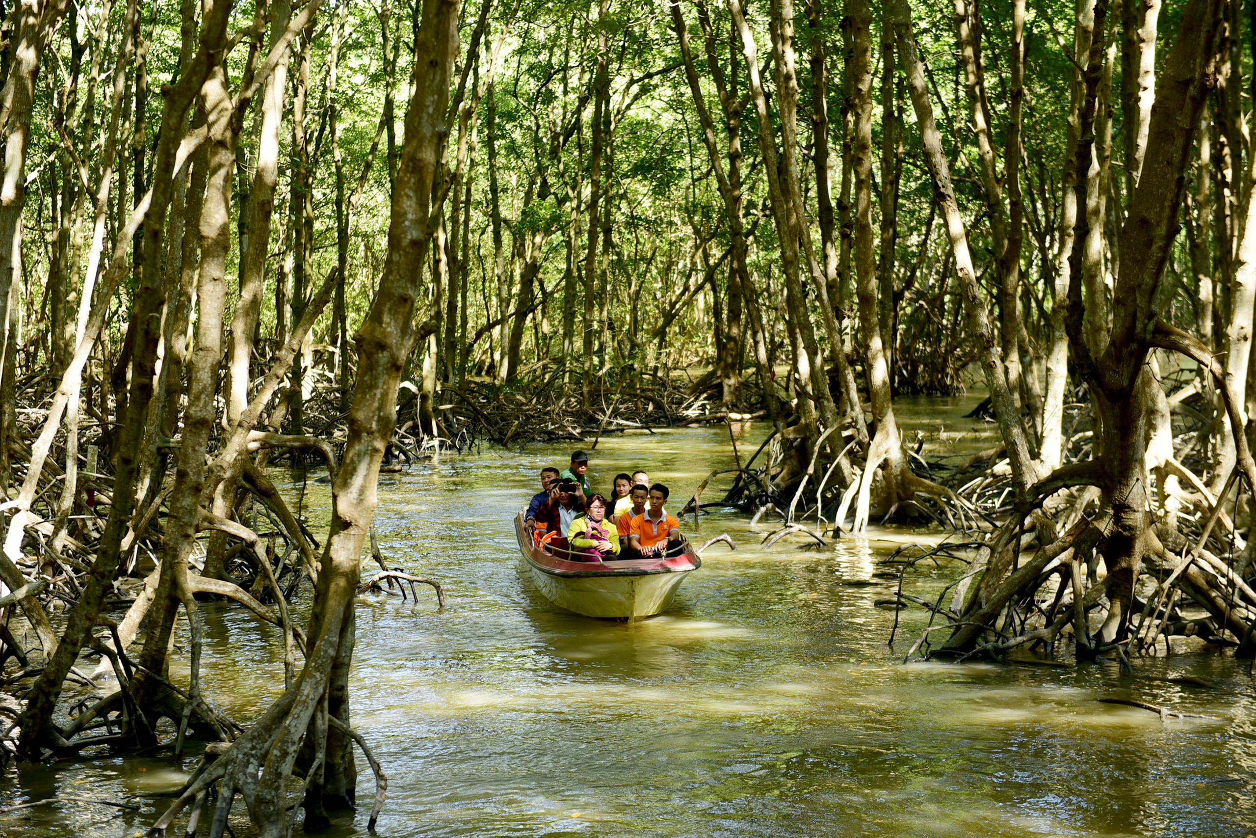 'Đánh thức' tiềm năng du lịch Cần Giờ - Ảnh 1.