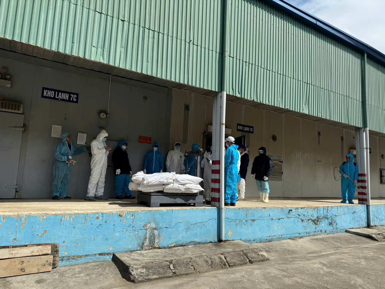 Danh tính 9 người bị khởi tố trong vụ hơn 130 tấn thịt heo nhiễm bệnh liên quan Đồ hộp Hạ Long 2 dịch tả lợn châu phi - Ảnh 2.