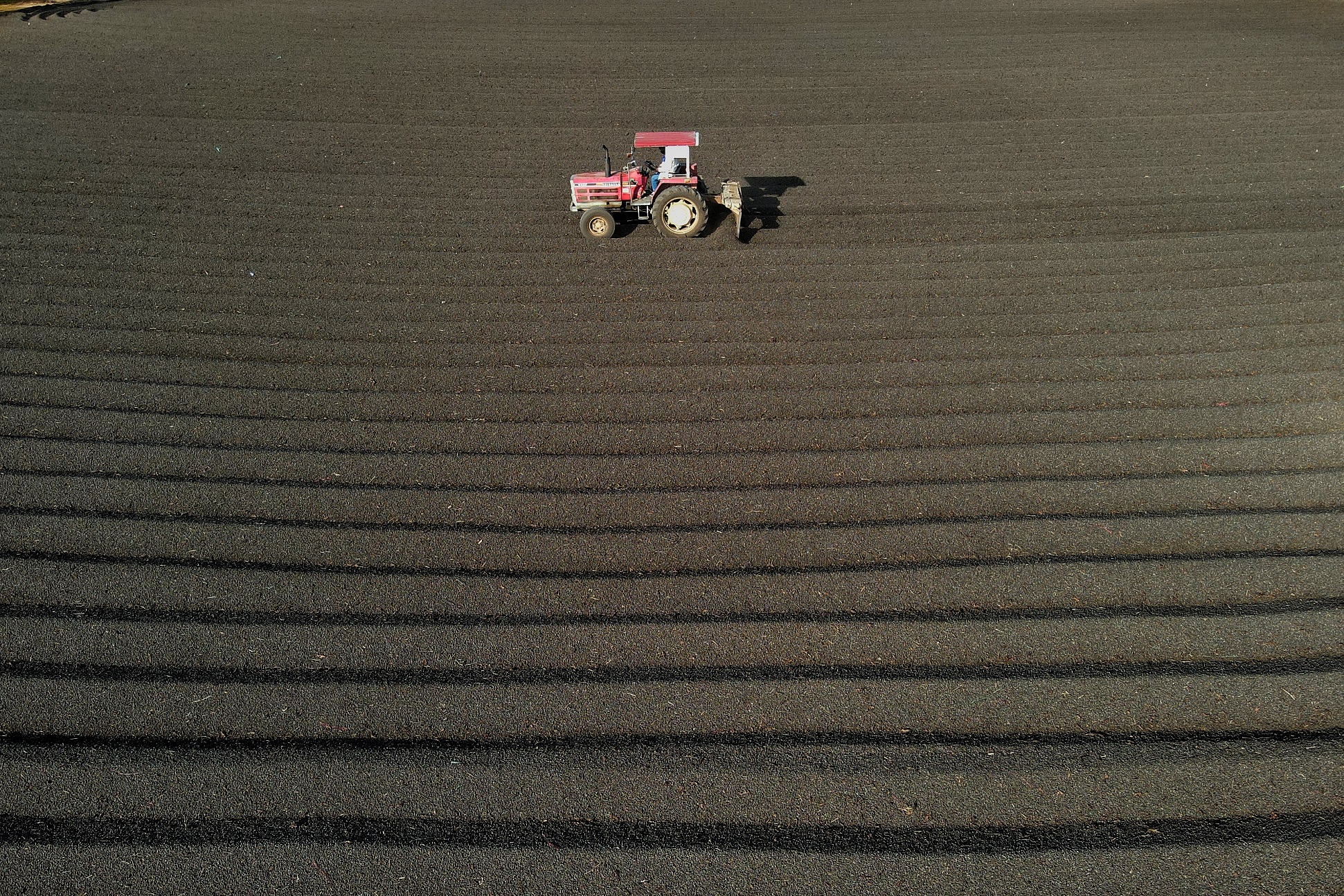 Đẹp hút mắt, mùa phơi cà phê 'phủ nâu' Tây Nguyên đại ngàn 1 cà phê - Ảnh 1.