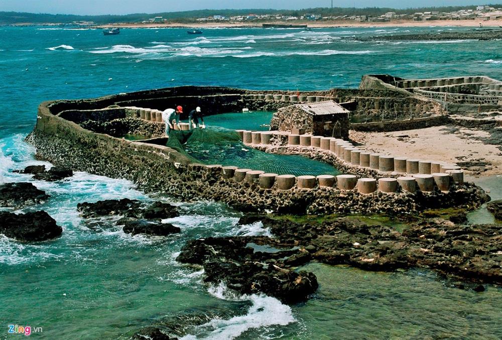 Một đảo miền Trung Việt Nam được vinh danh ngay đầu năm 2026, báo Thái nhận xét: 