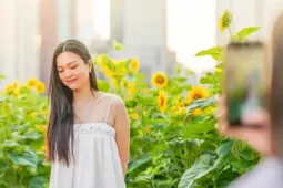 Mãn nhãn vườn hướng dương nghìn bông khoe sắc bên bờ sông Sài Gòn